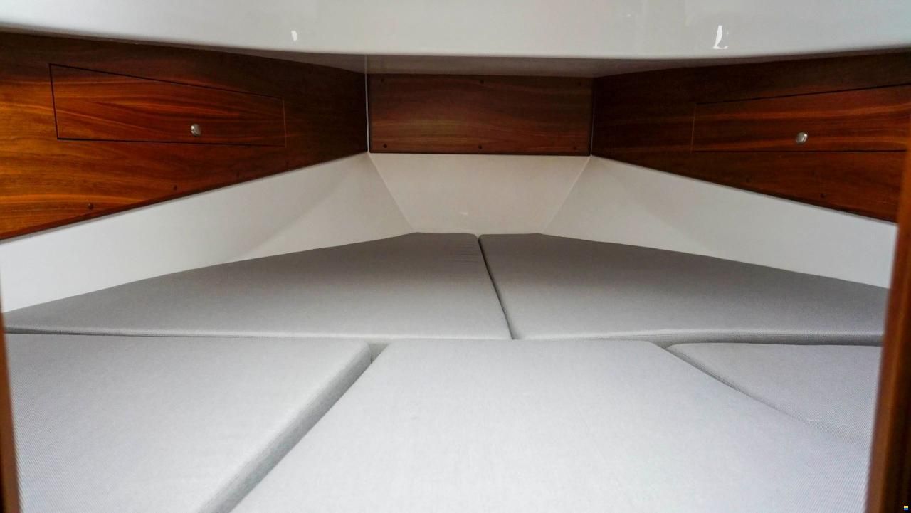 Sargo 31