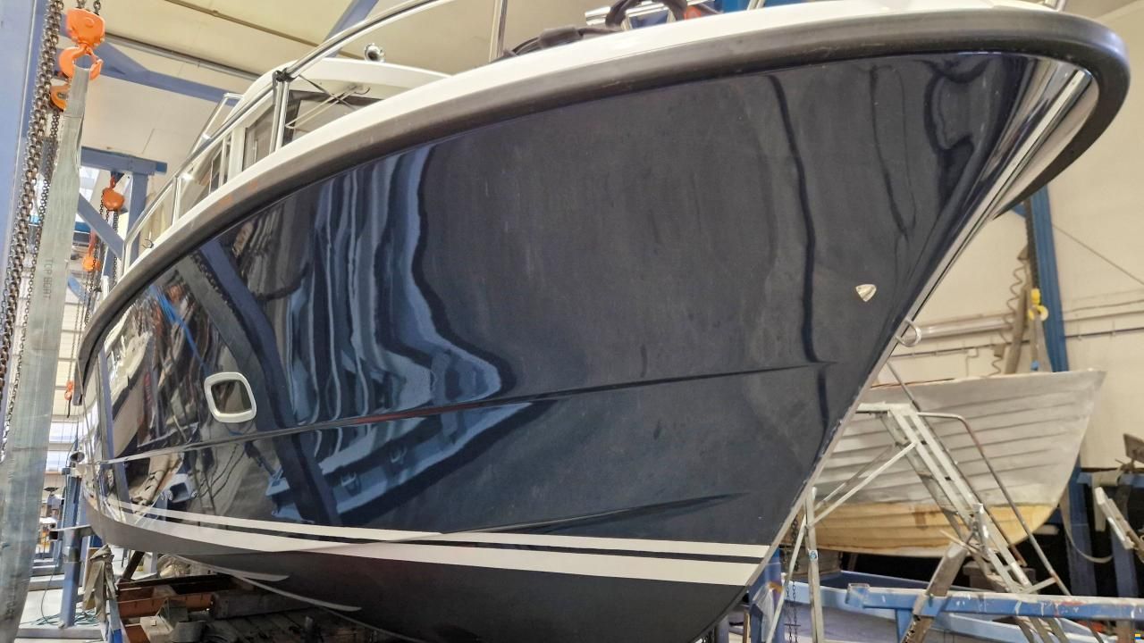 Sargo 31