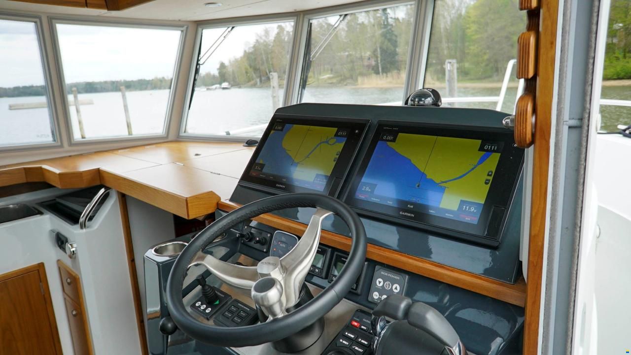 Sargo 31