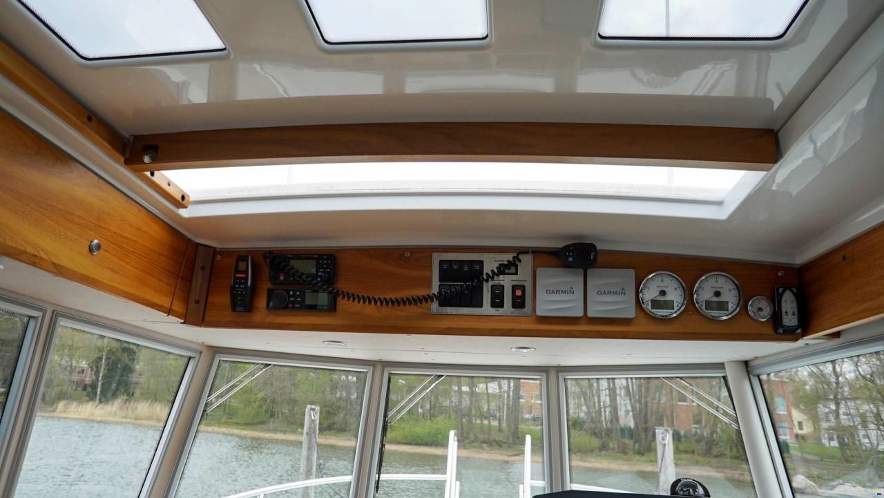 Sargo 31