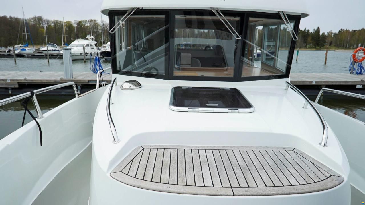 Sargo 31