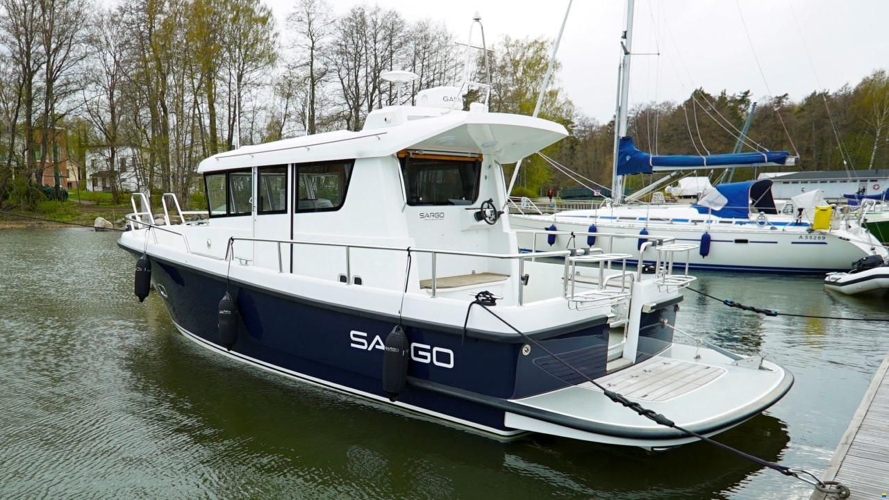 Sargo 31