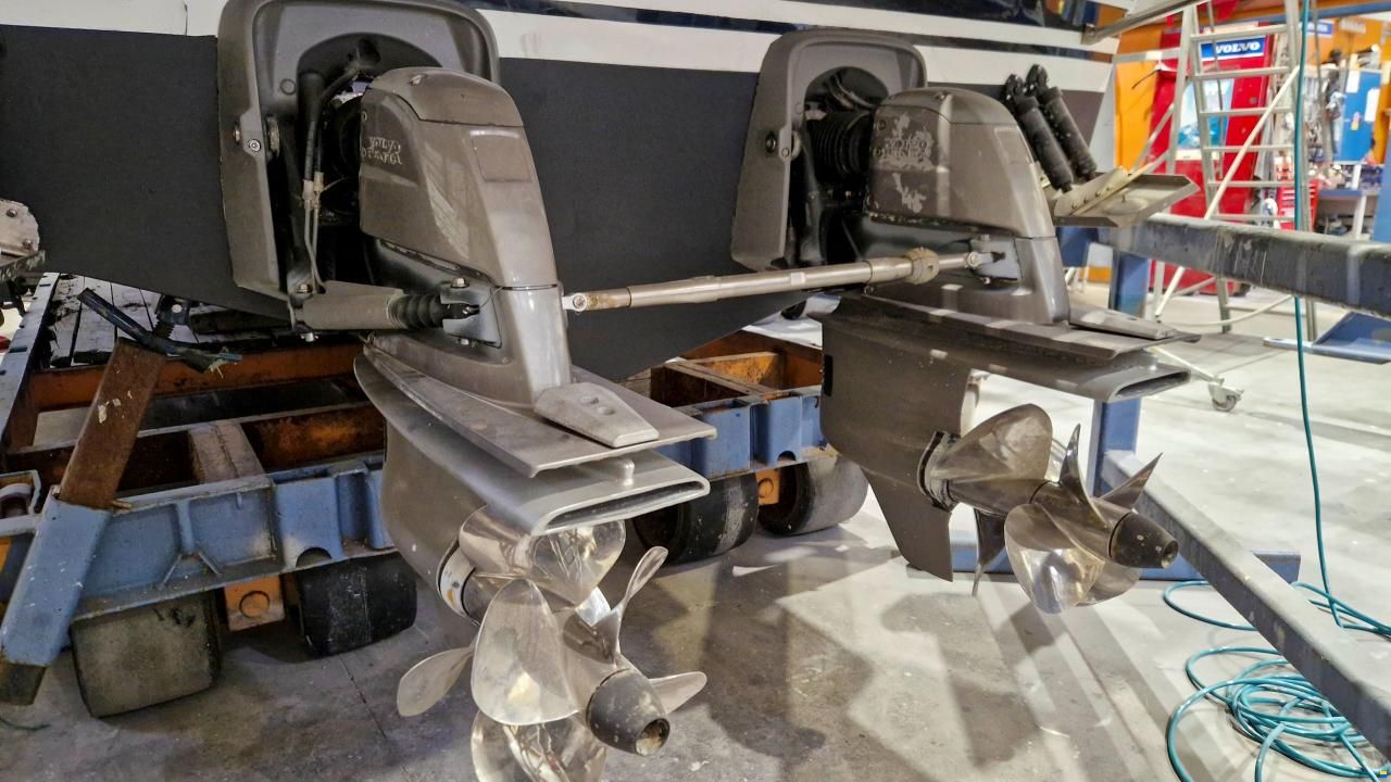 Sargo 31