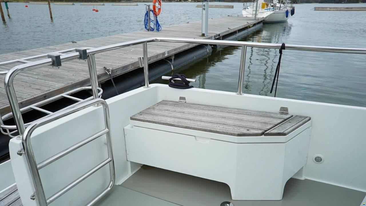 Sargo 31