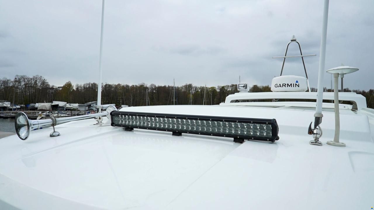 Sargo 31