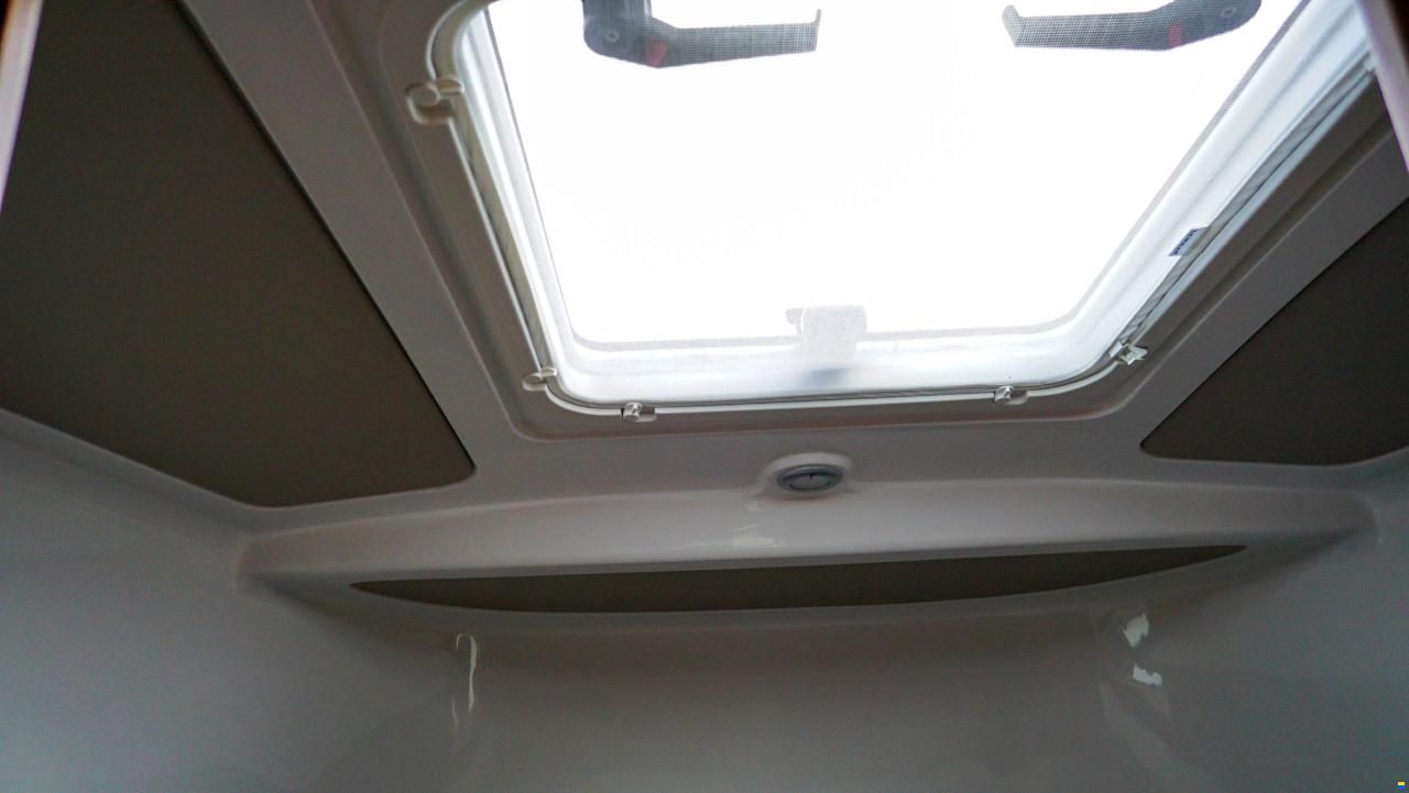 Sargo 31