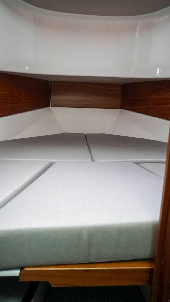 Sargo 31