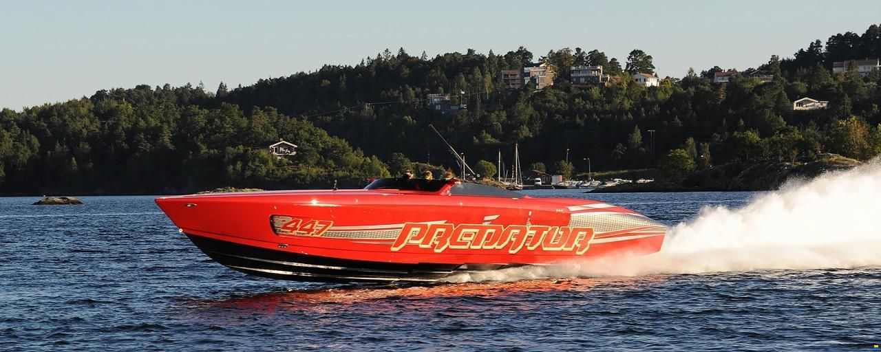 Predator 447