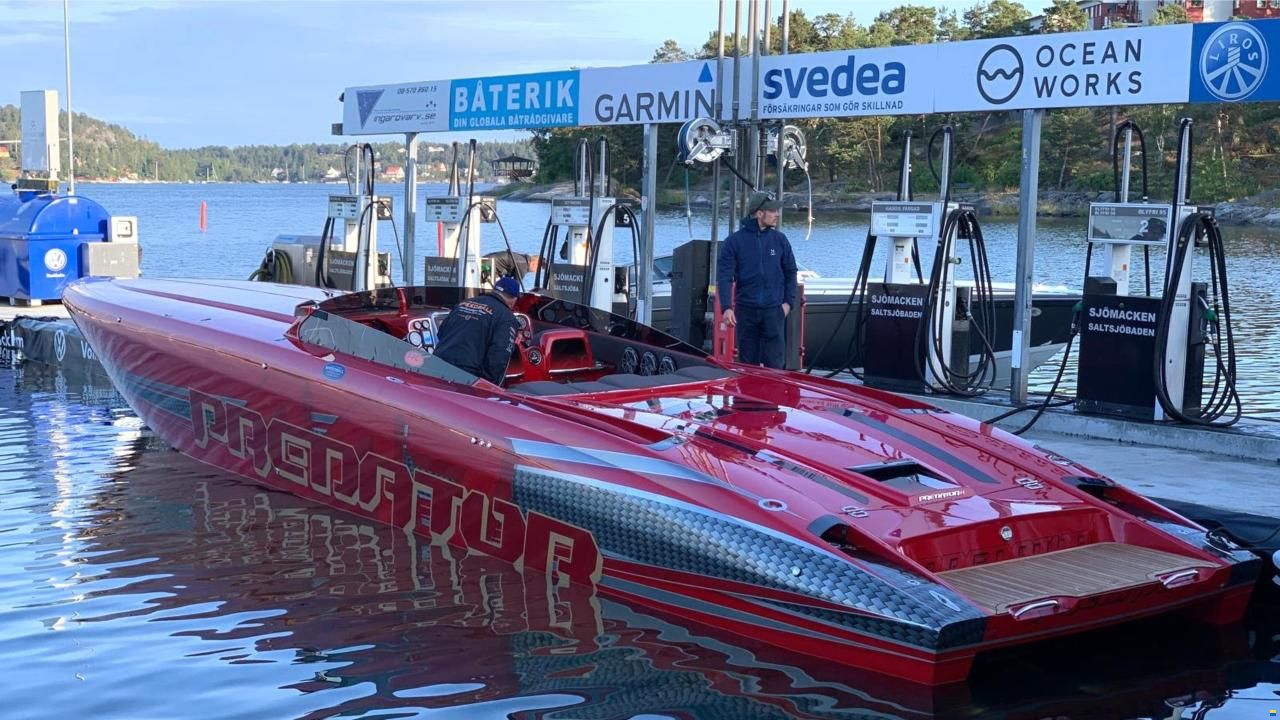 Predator 447