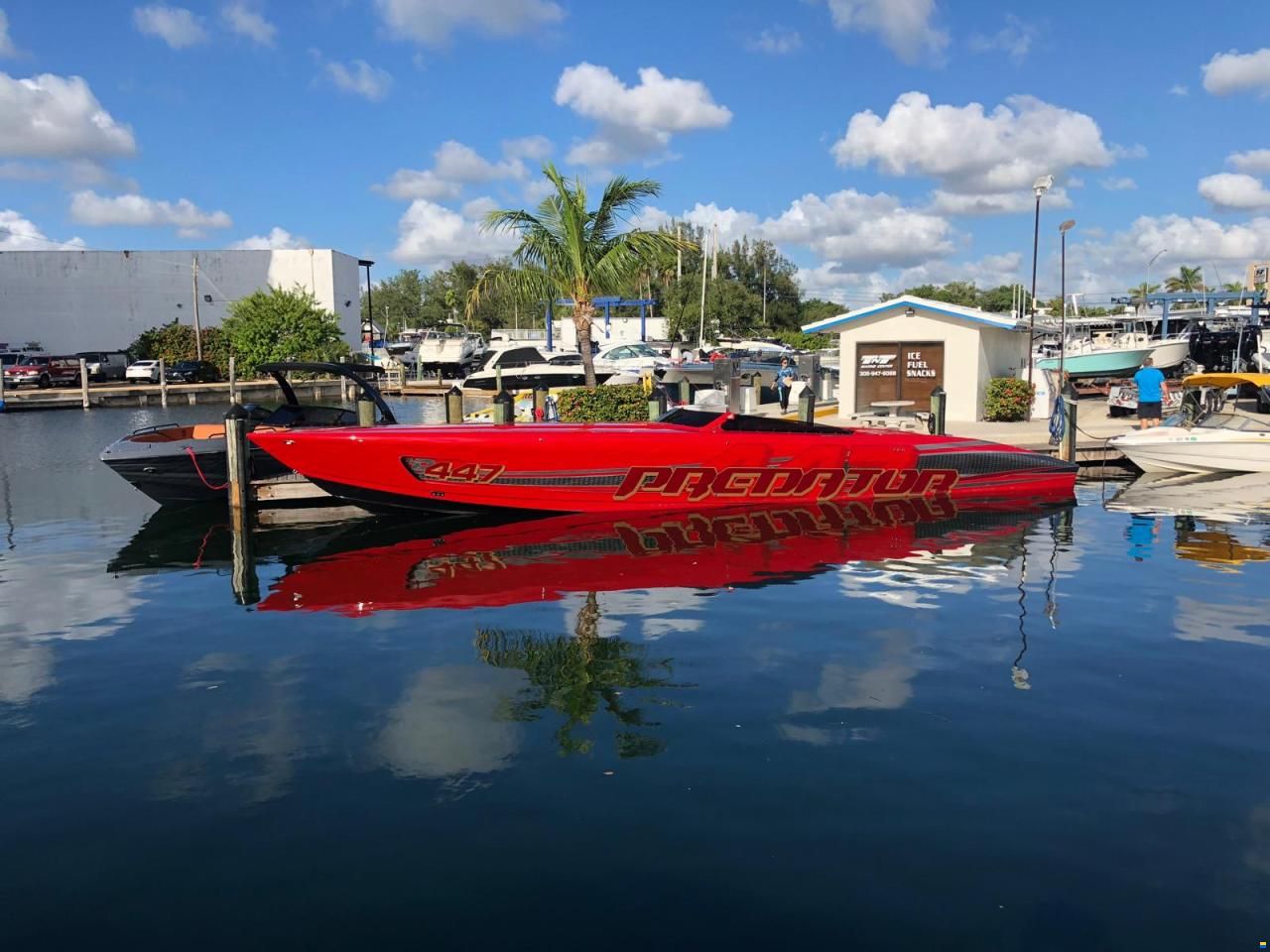 Predator 447