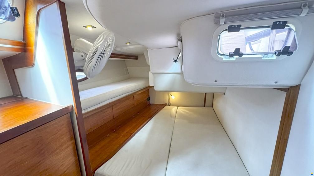 Hanse 531e