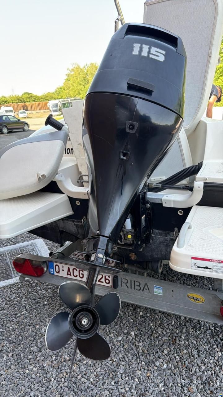Bayliner Élément xl