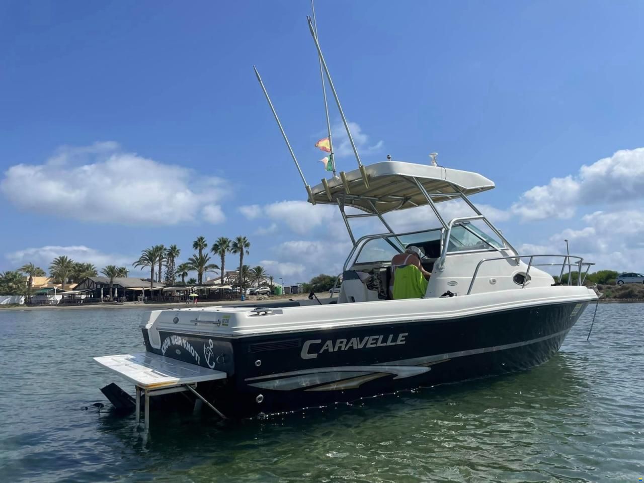 Sea Hawk 230 v series