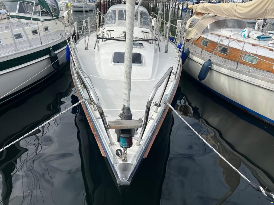 Hanse 331