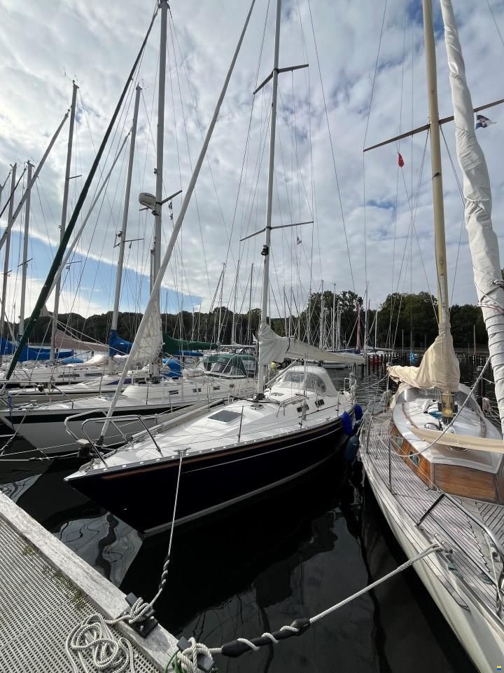 Hanse 331