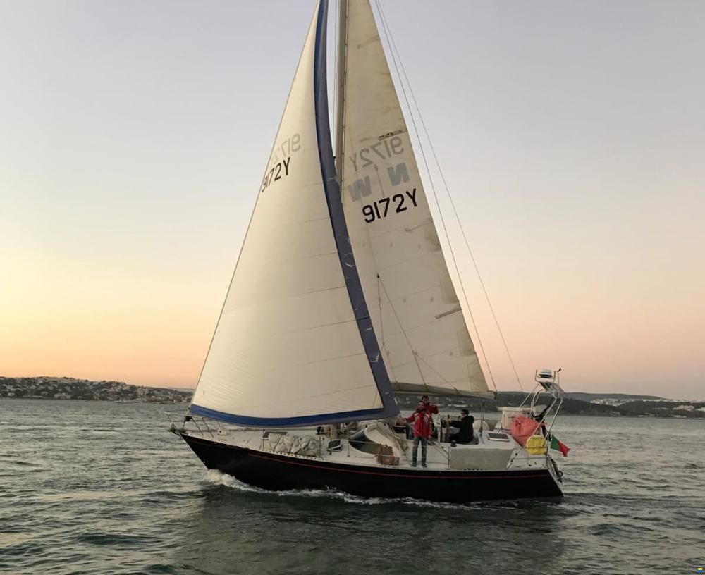 36 Mistral