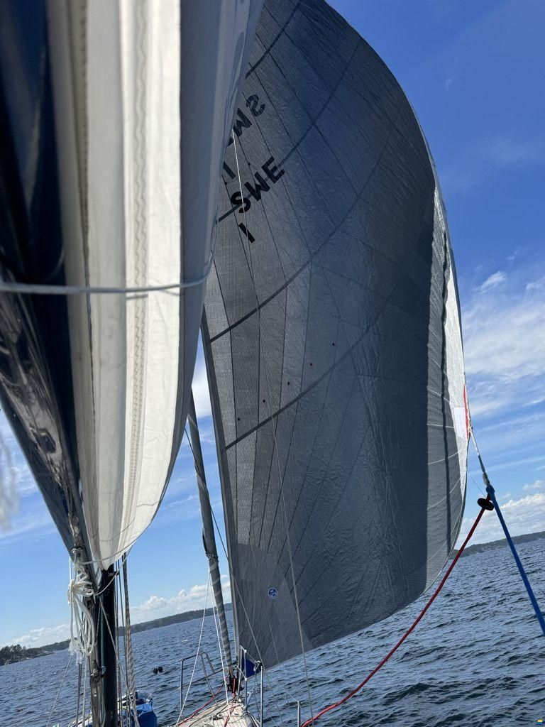 Malbech 360