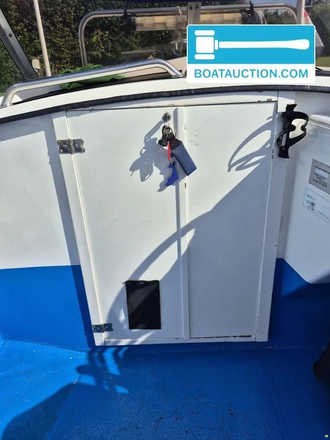 Shetland Sheltie