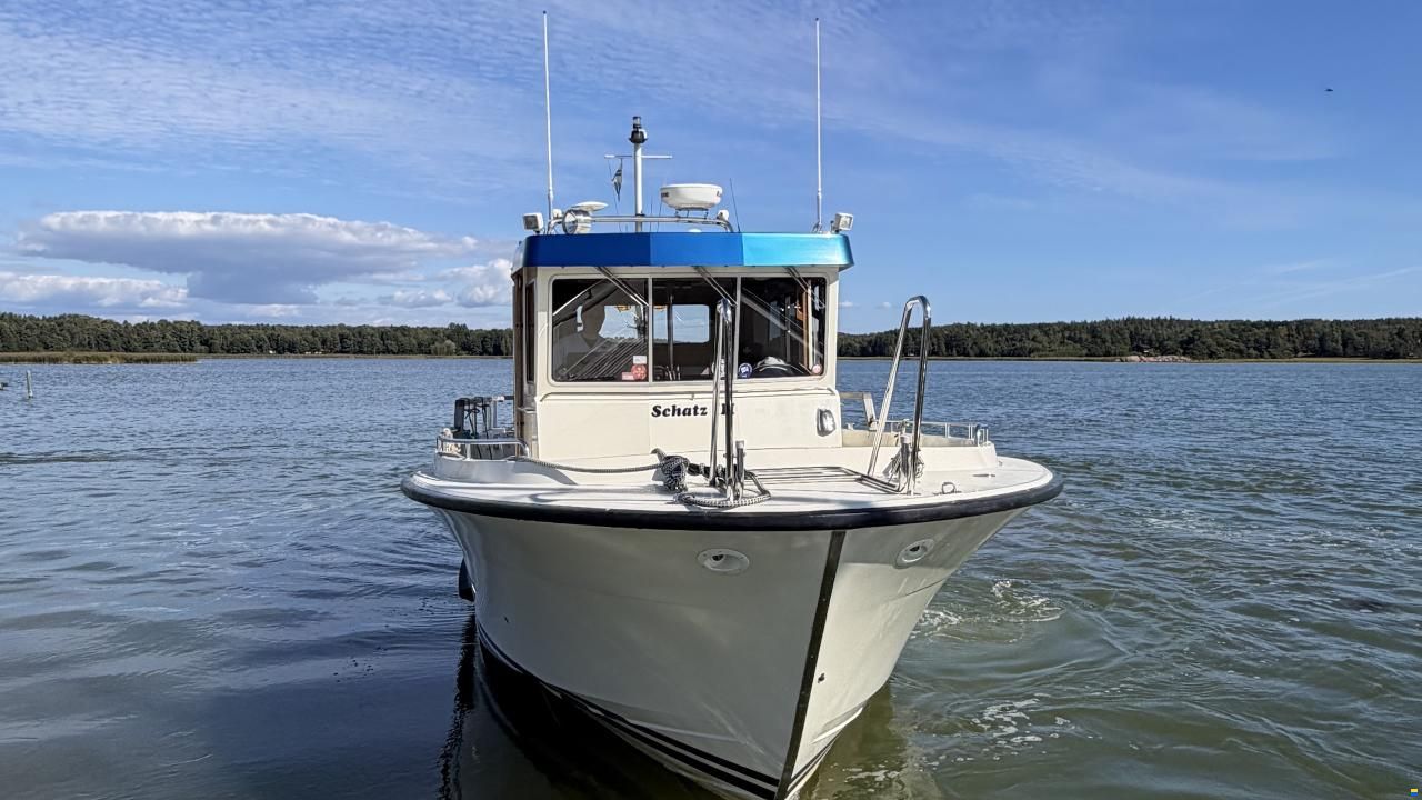 Targa 33