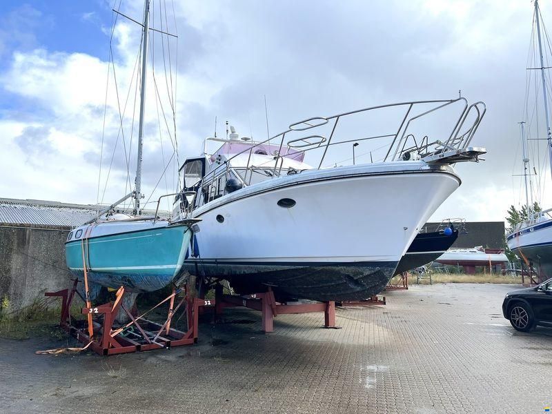 Edership 41