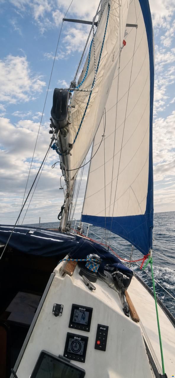 Dufour 3800