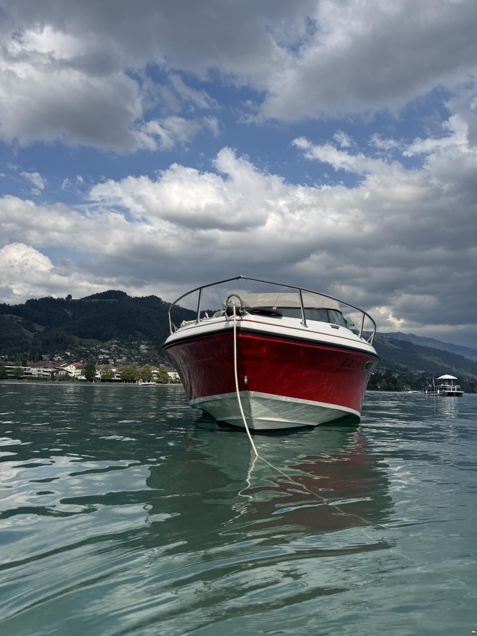 Rinker Festiva 230