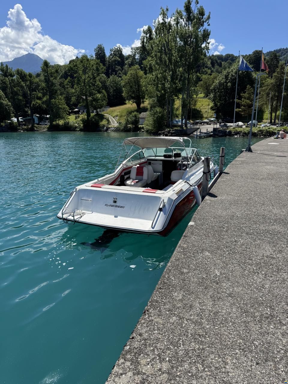 Rinker Festiva 230