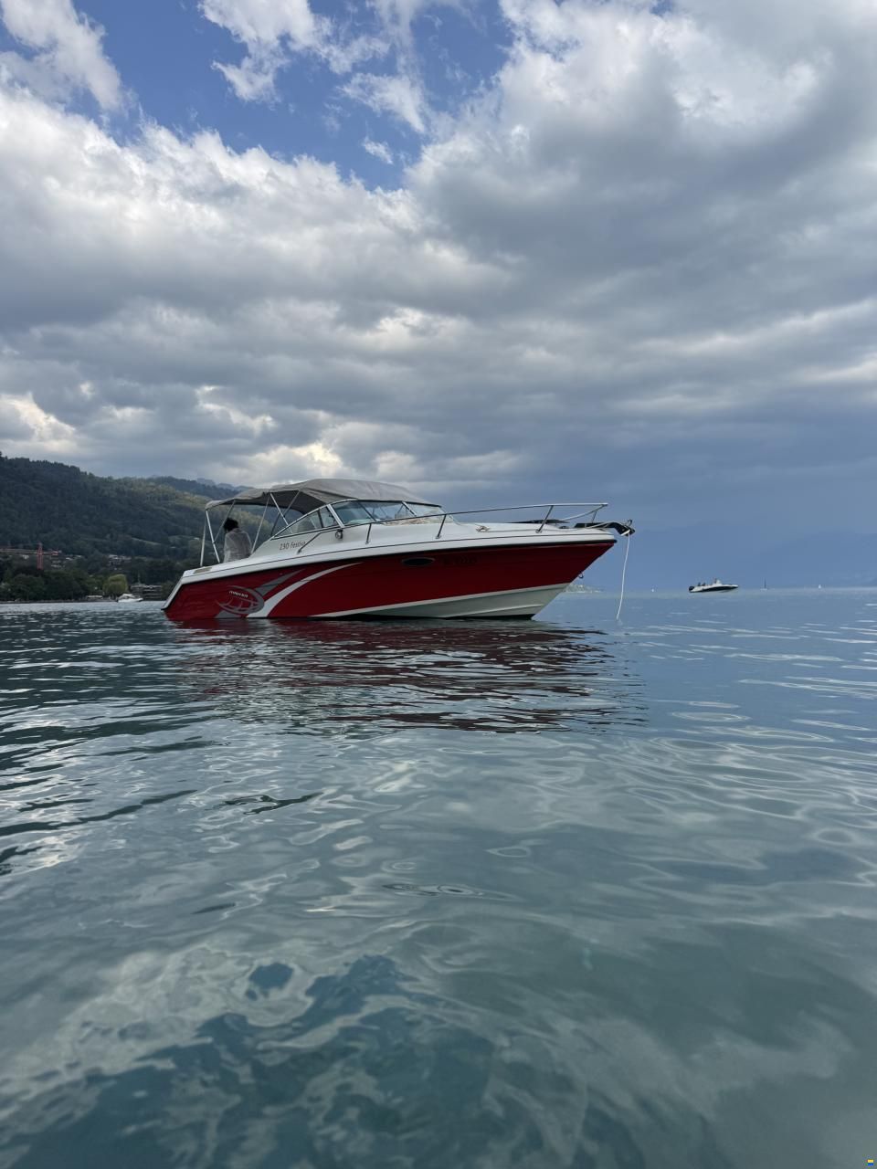 Rinker Festiva 230