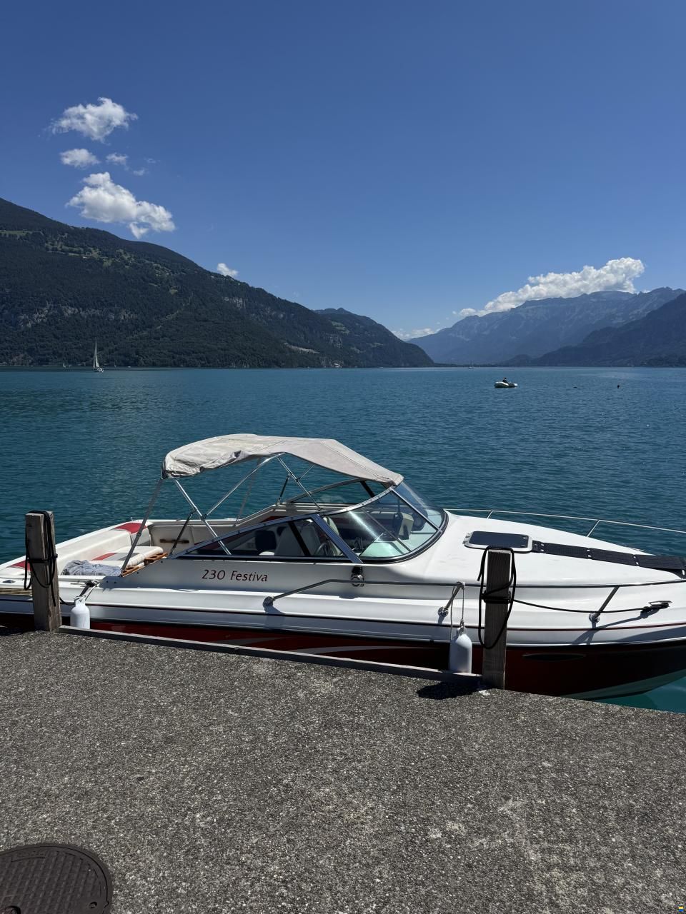 Rinker Festiva 230