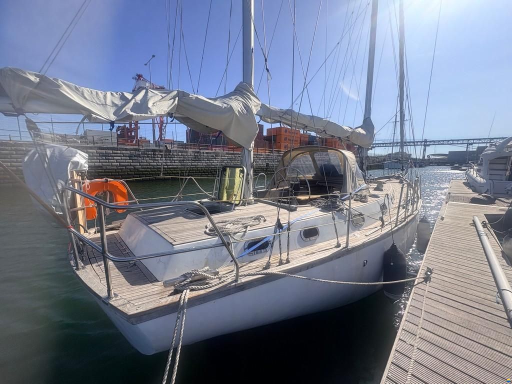 Endurance 37