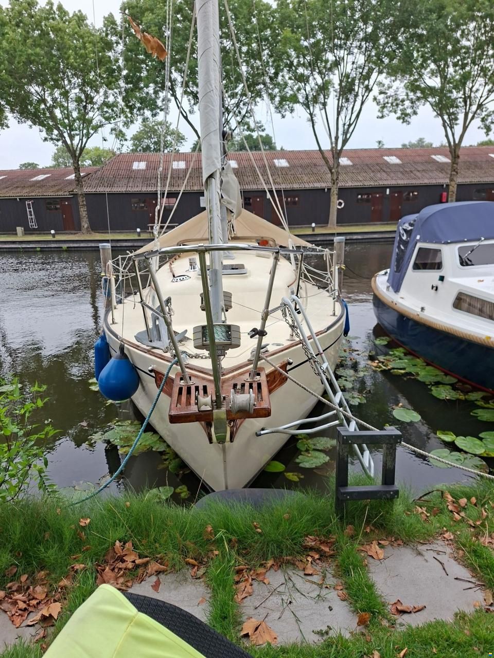 Bayfield 29
