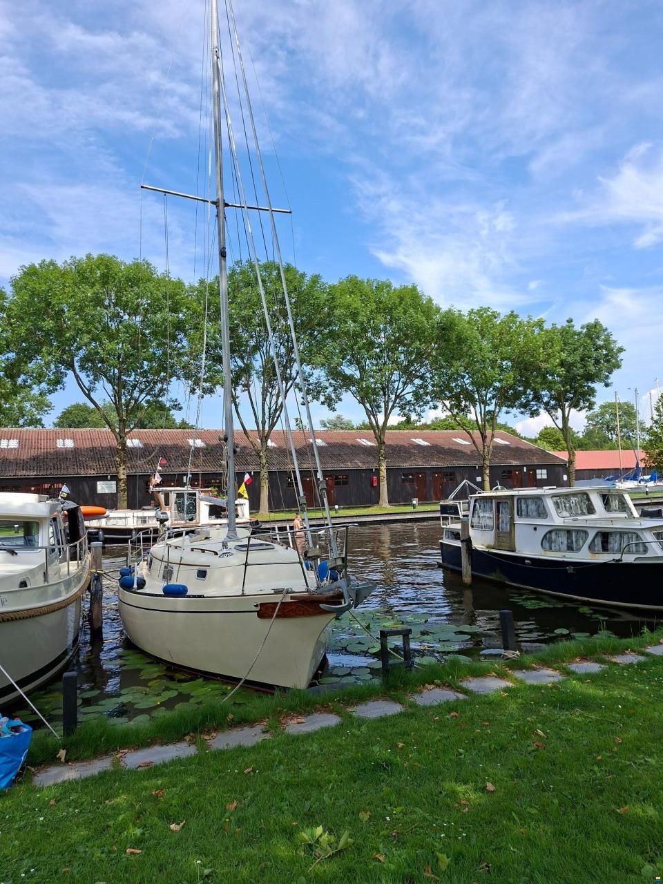 Bayfield 29