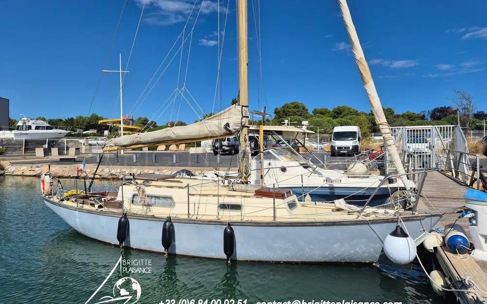 Wauquiez Elizabethan 29