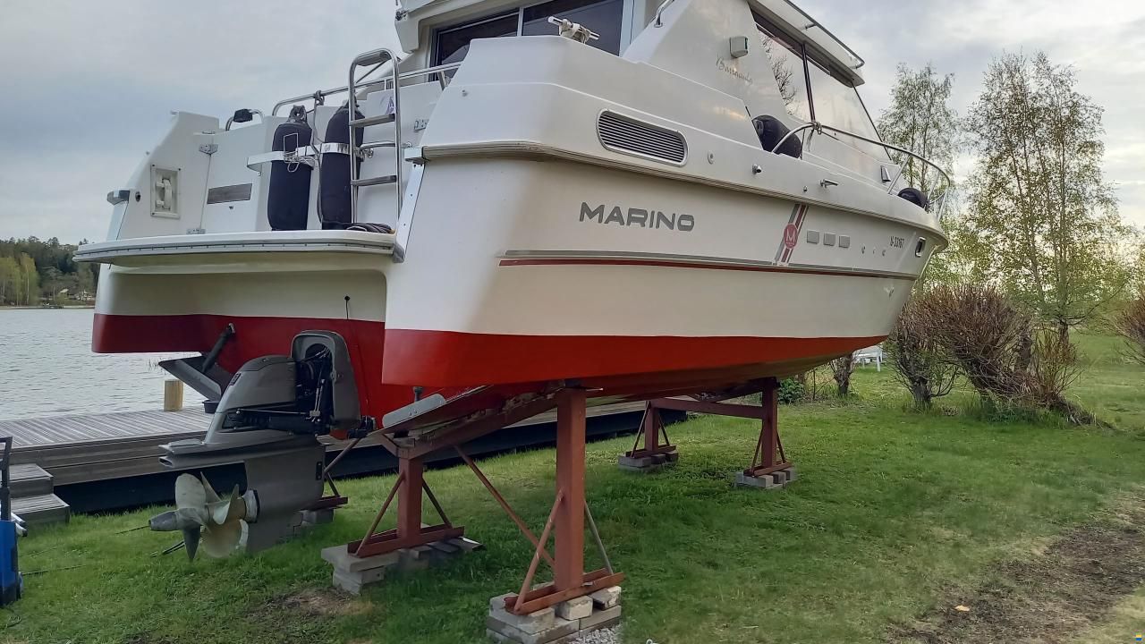 Marino Barracuda