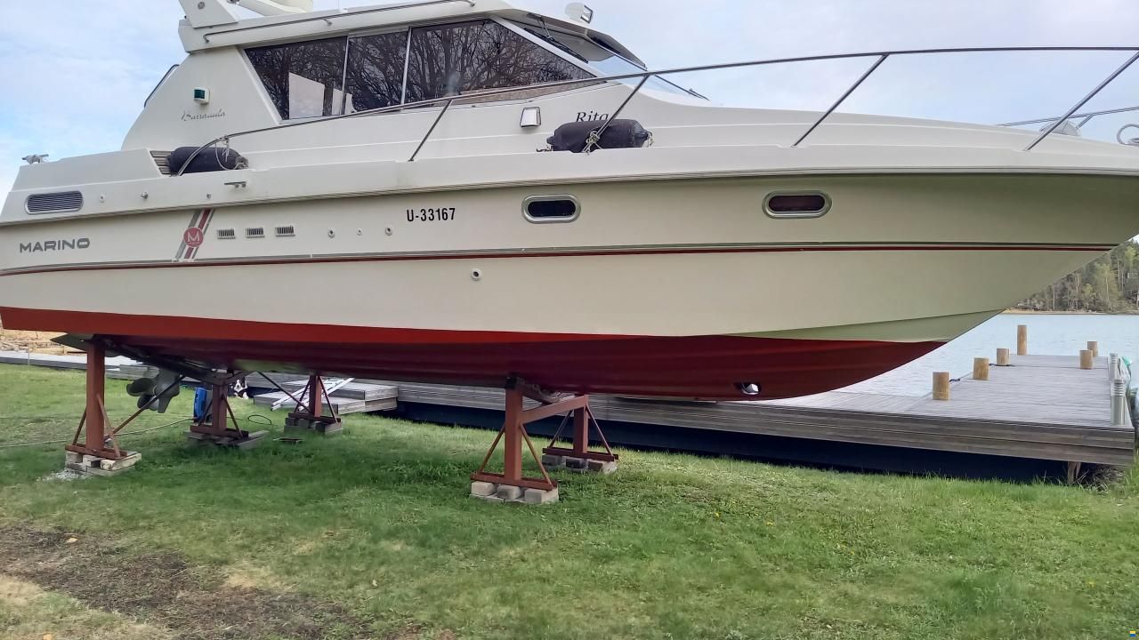 Marino Barracuda