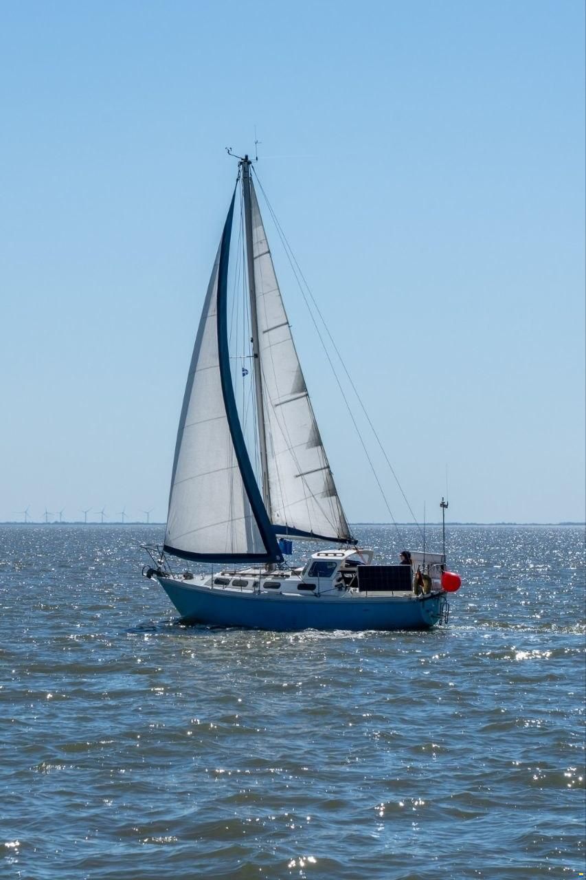 Colvic Sailer 29