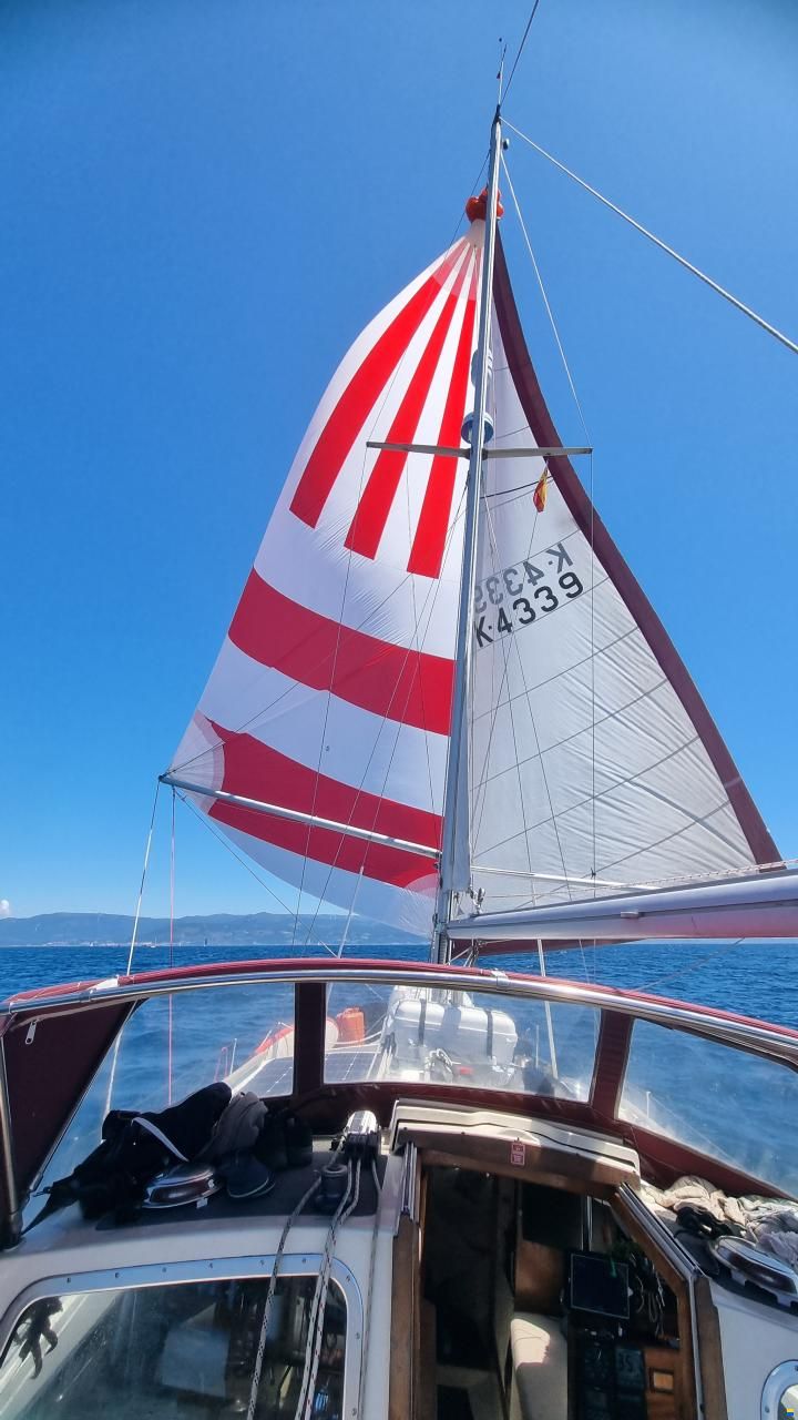Trident Voyager 35