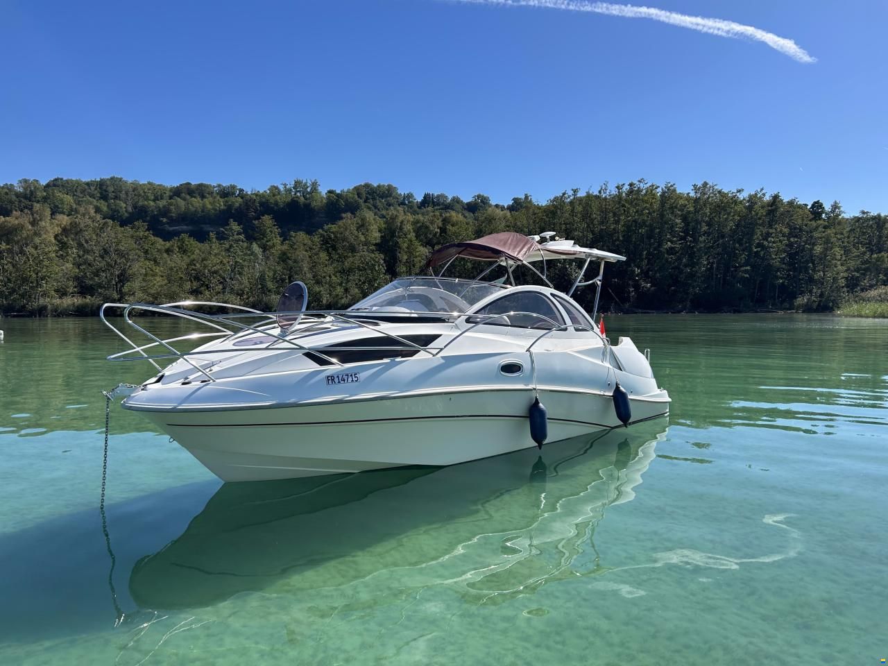 Quicksilver 890