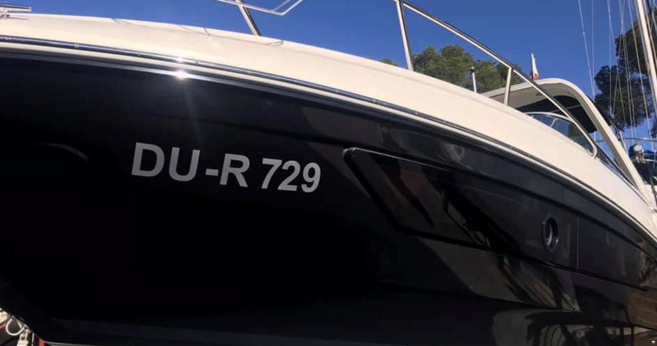Bayliner 842 Cuddy