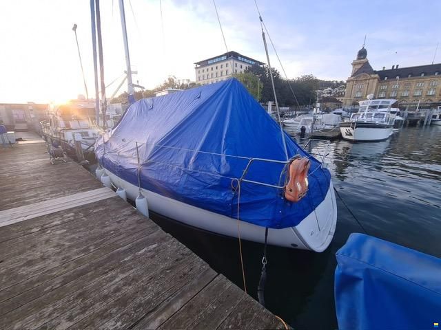 Bavaria Cruiser 31