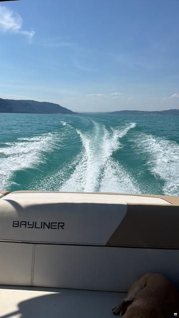 Bayliner 642 Cuddy 2016 BSZ