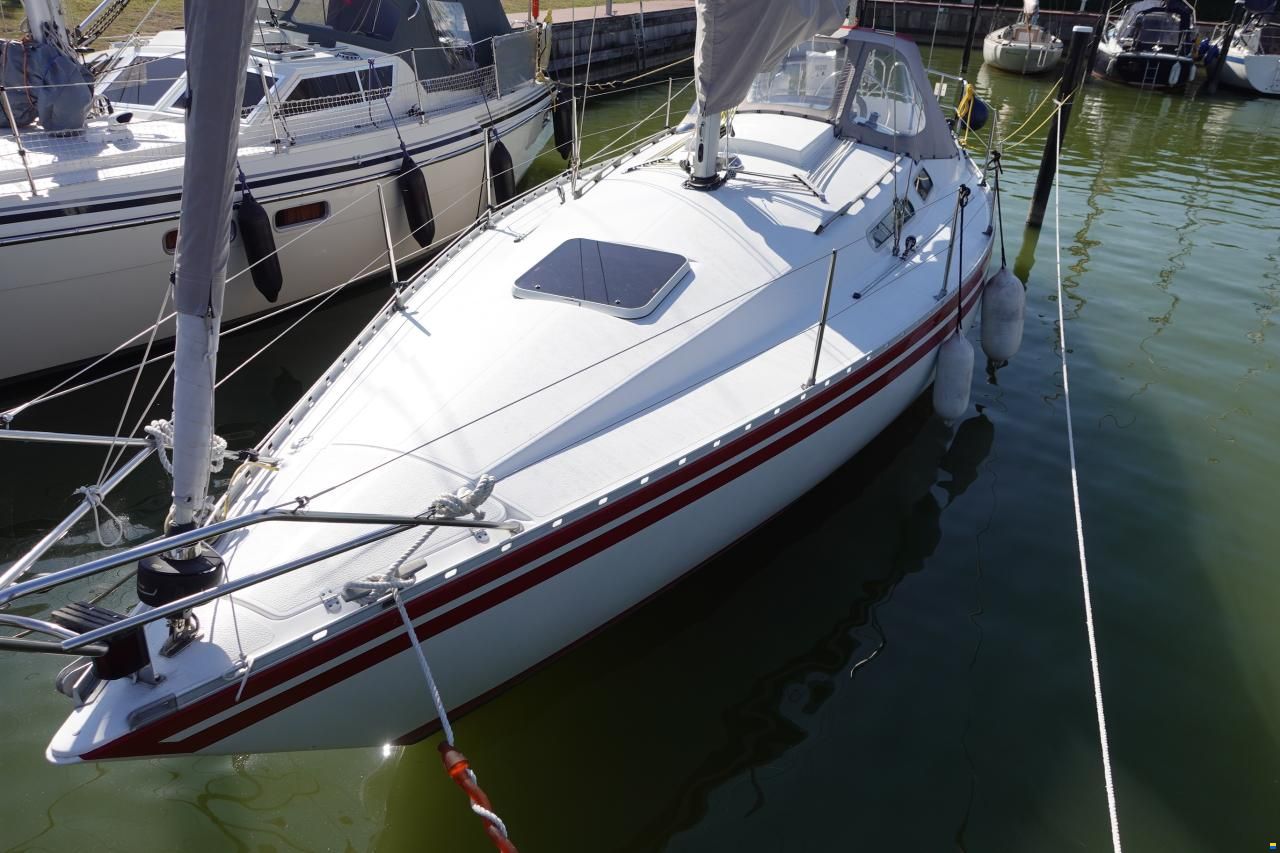 Scanmar 33