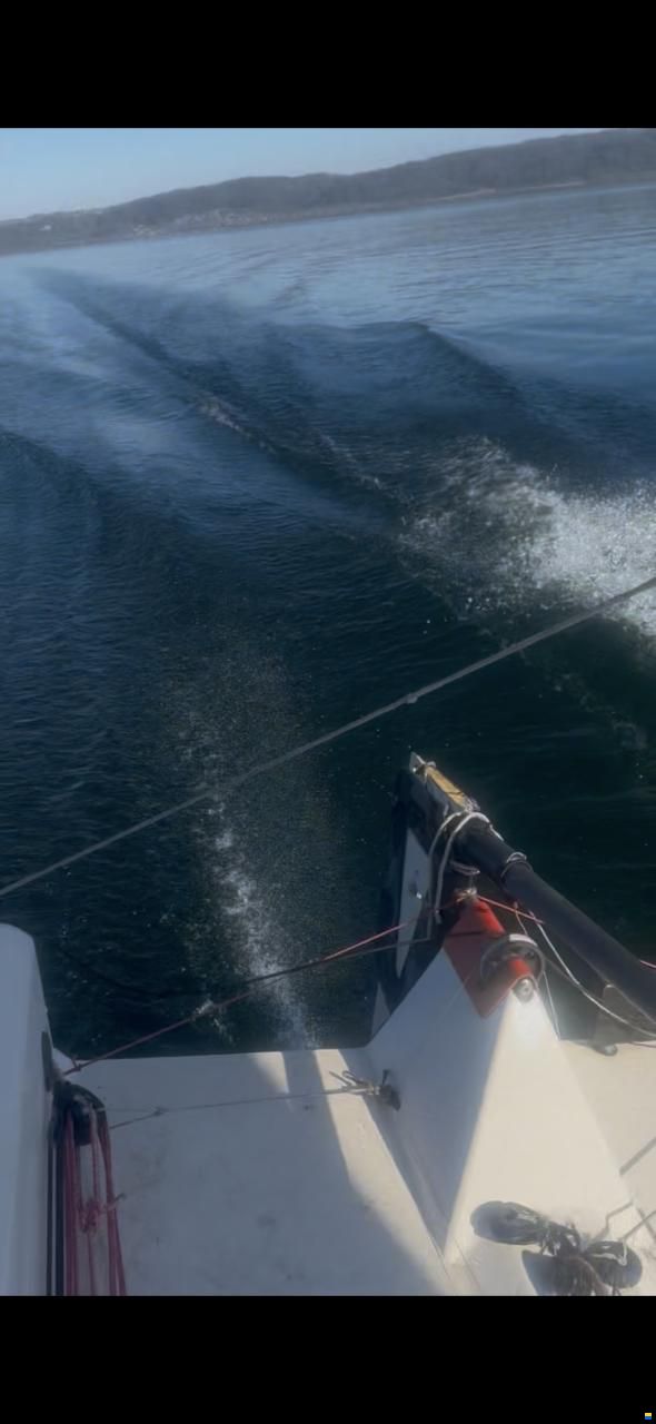 Quant Q23 Scow Foiler