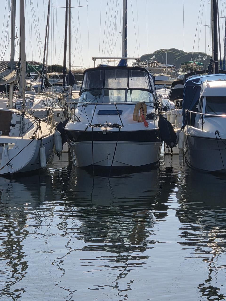 Bayliner 245 SB