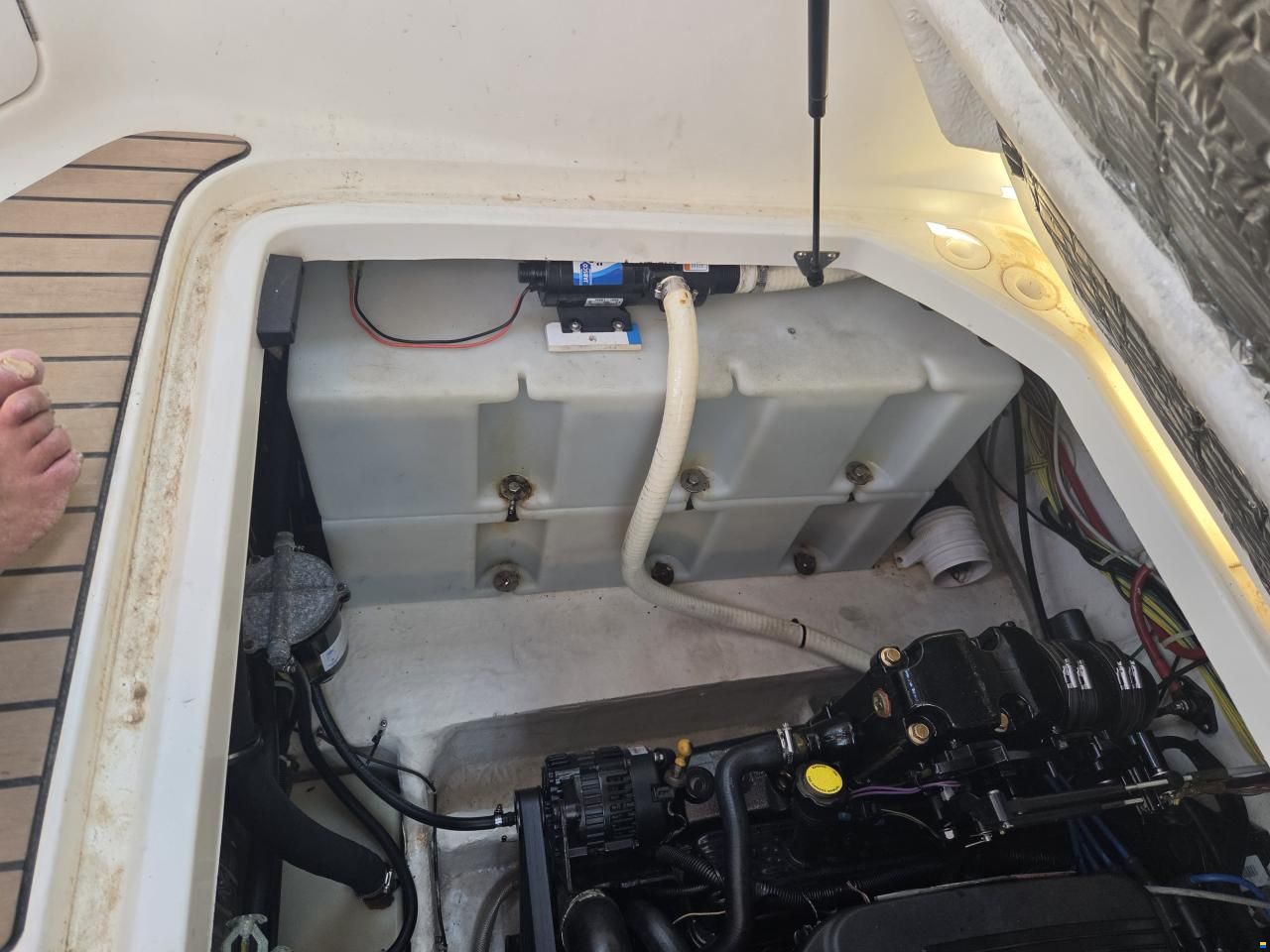 Bayliner 245 SB