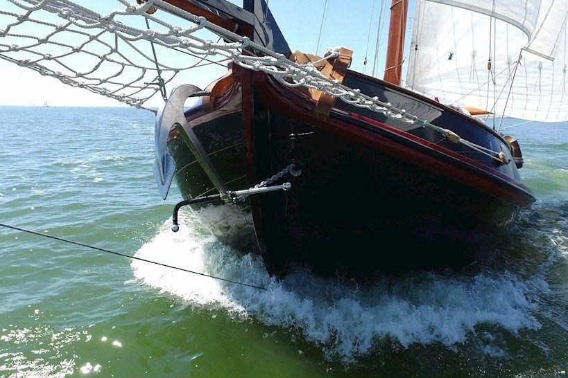 Lemsteraak Roefaak - Otter