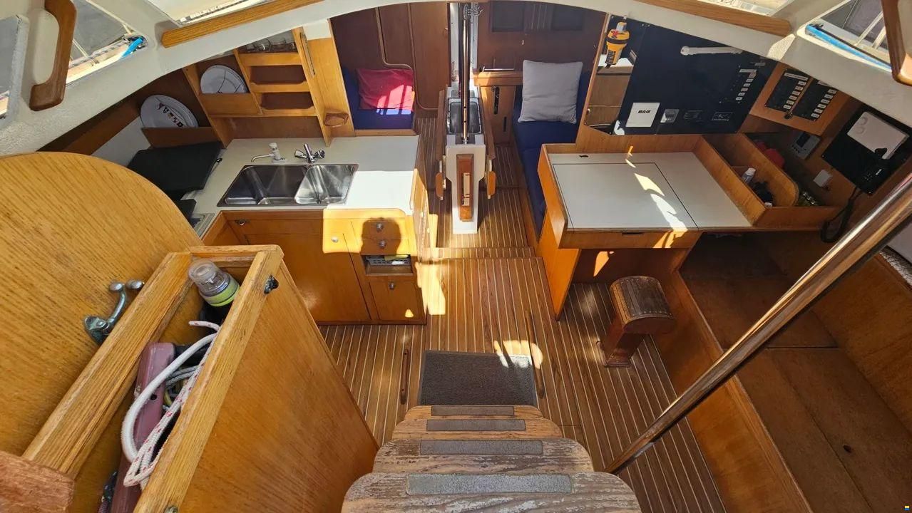 JFA PETREL 42