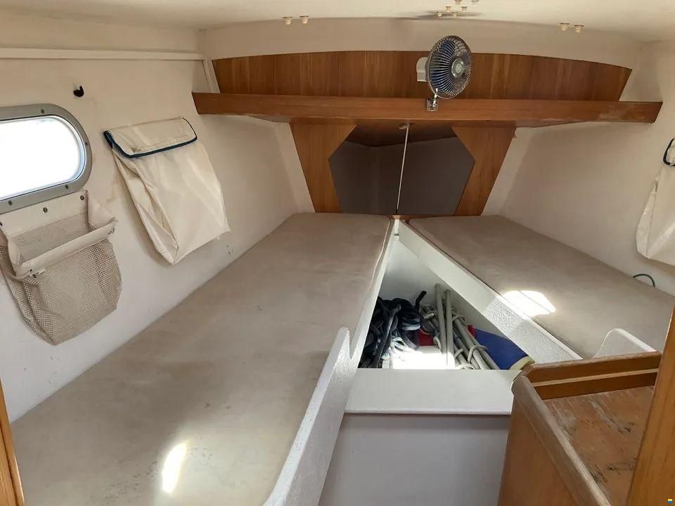 JFA PETREL 42