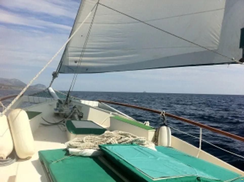 woodys eastwind 68