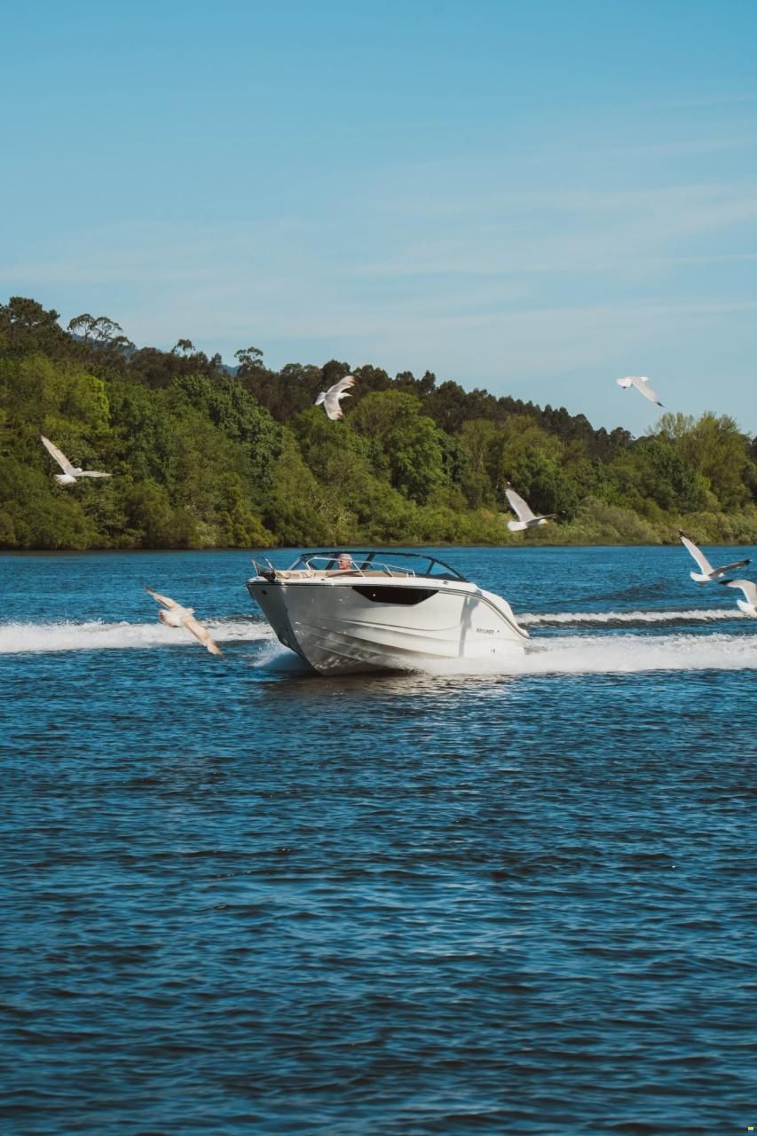 Bayliner V22i Wakeboard